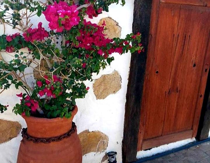 Casa Rural Alessia With Jacuzzi ,Garden & Swimming Pool Санта-Крус-де-Тенеріфе Екстер'єр фото